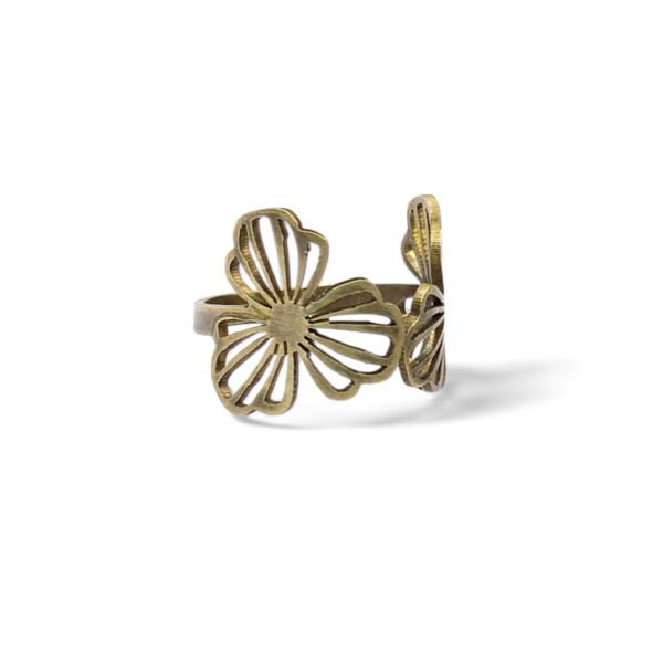 Antique Brass rings
