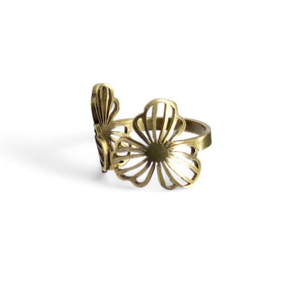 Antique Brass rings