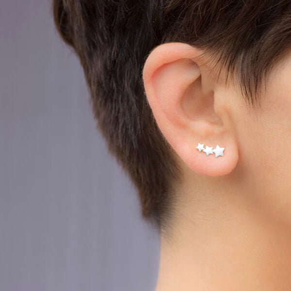 Tiny Silver Star Design Earrings