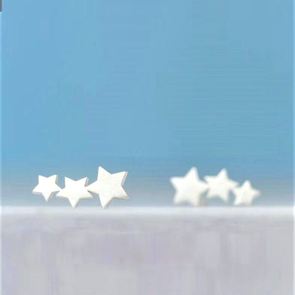 Tiny Silver Star Design Earrings