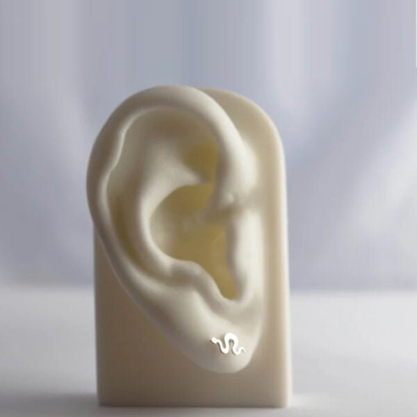 Tiny Silver Earrings Snake Design