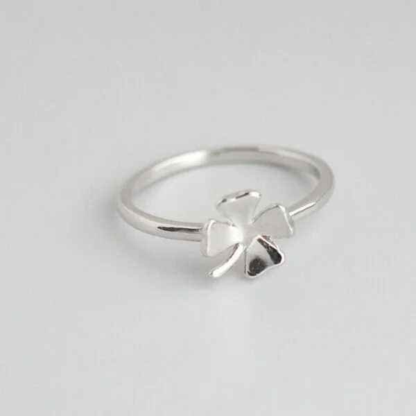 hug ring silver