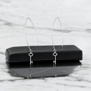 Silver cute earrings