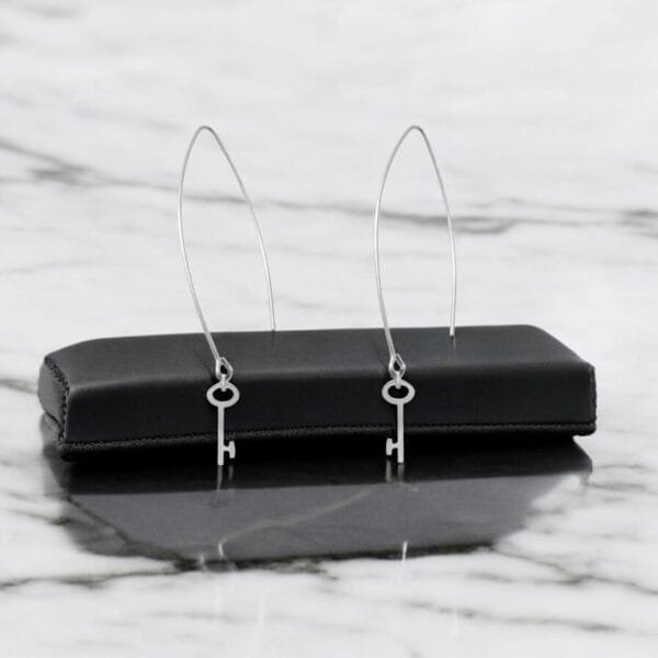Silver cute earrings