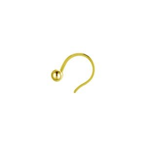 sania mirza nose pin