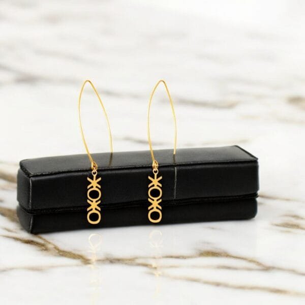 Long Earrings