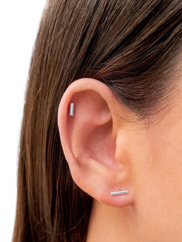 silver earrings small
