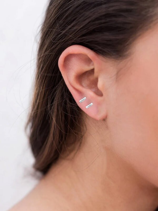 silver earrings small