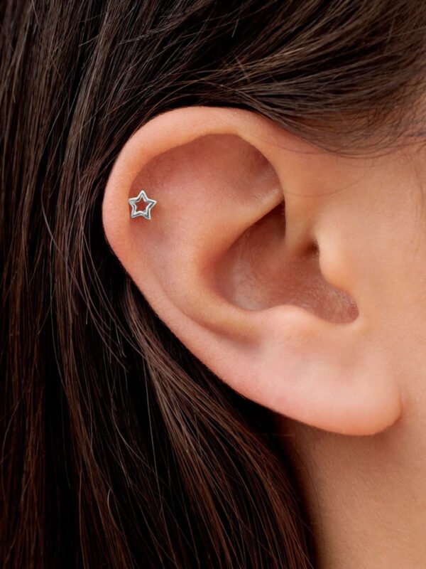silver earrings for women studs