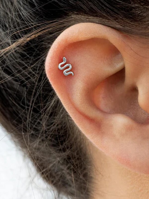 silver earrings studs for women