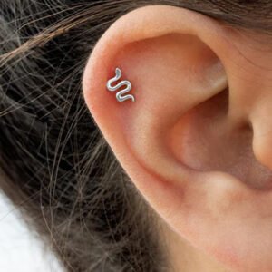 silver earrings studs for women