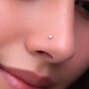 pin nose pin